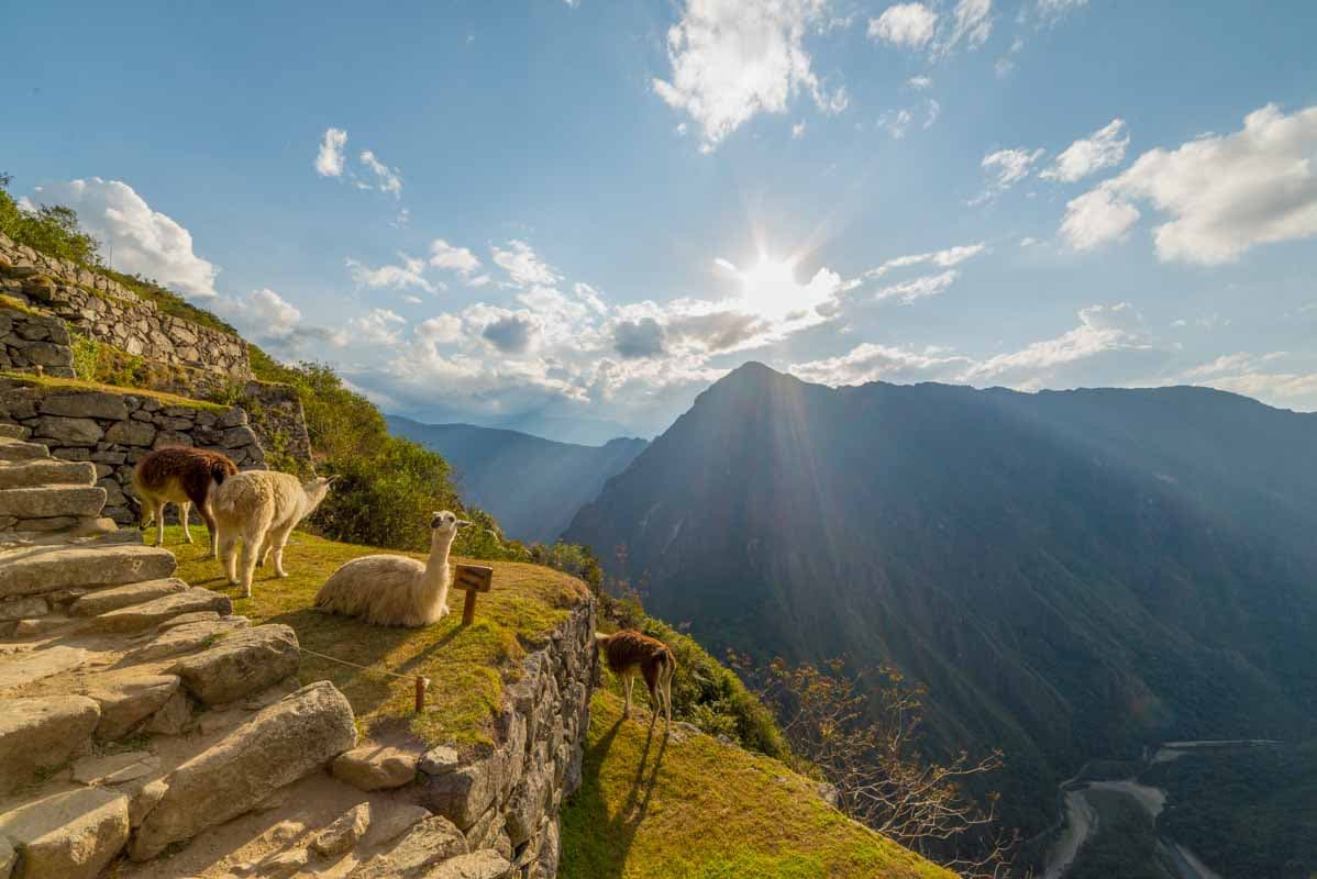 Paisaje del Eje Cafetero